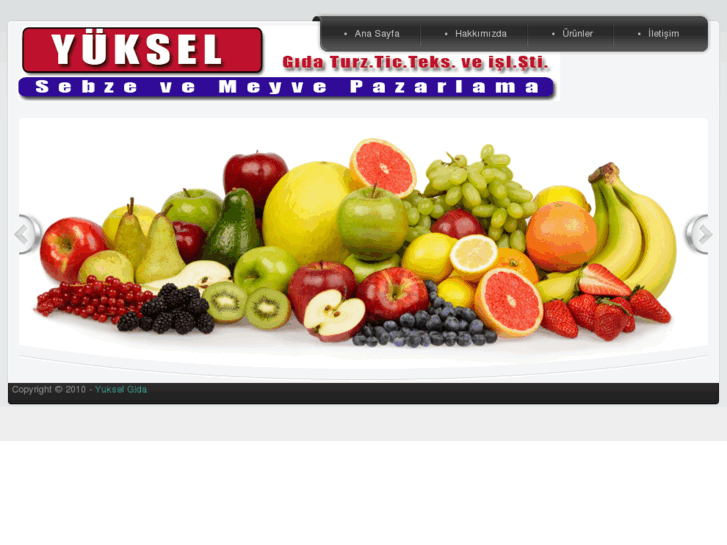 www.yukselgida.com