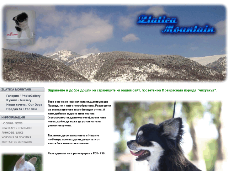 www.zlaticamountain.com