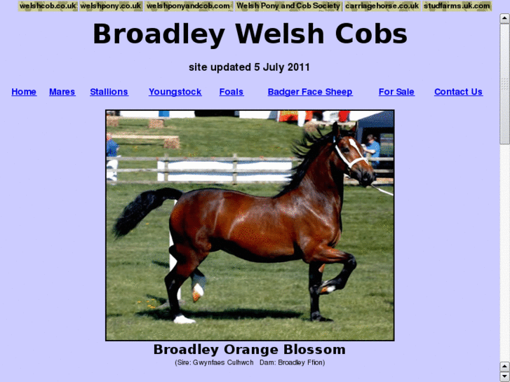 www.broadleywelshcobs.co.uk