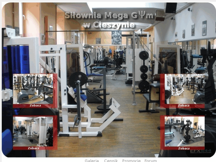 www.megagym.pl