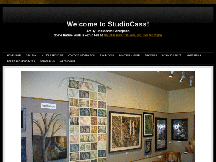 www.studio-cass.com