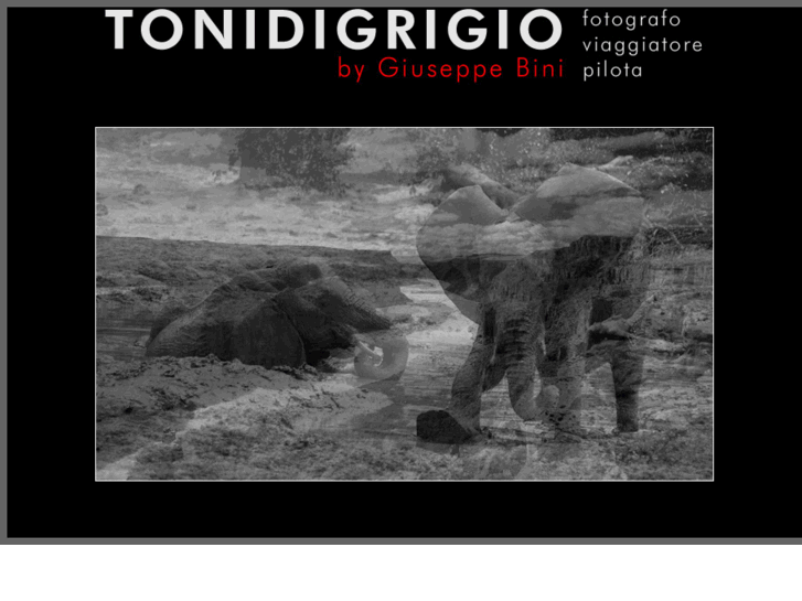 www.tonidigrigio.com