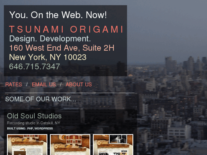 www.tsunamiorigami.com