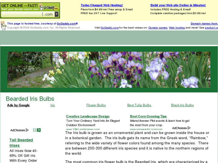 www.beardedirisbulbs.com