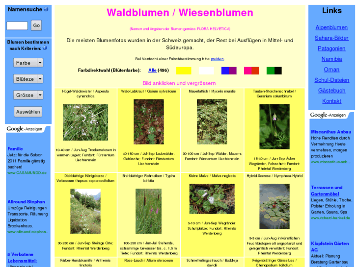 www.wiesenblumen.ch