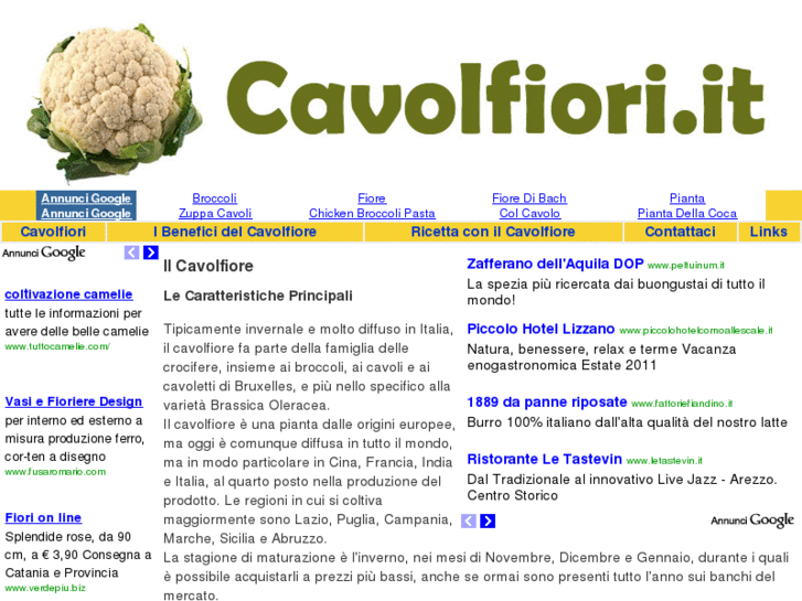 www.cavolfiori.it