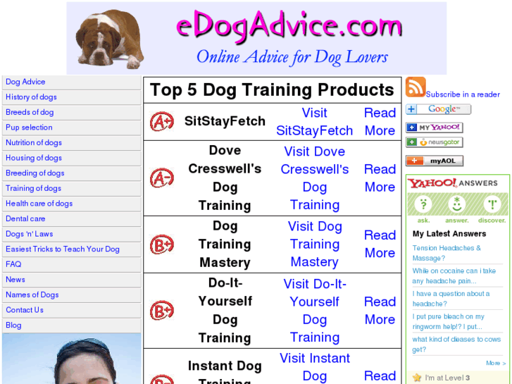 www.edogadvice.com