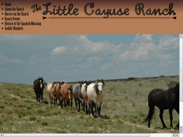 www.littlecayuseranch.com