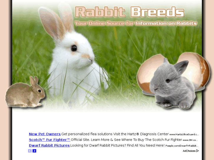 www.rabbit-breeds.net