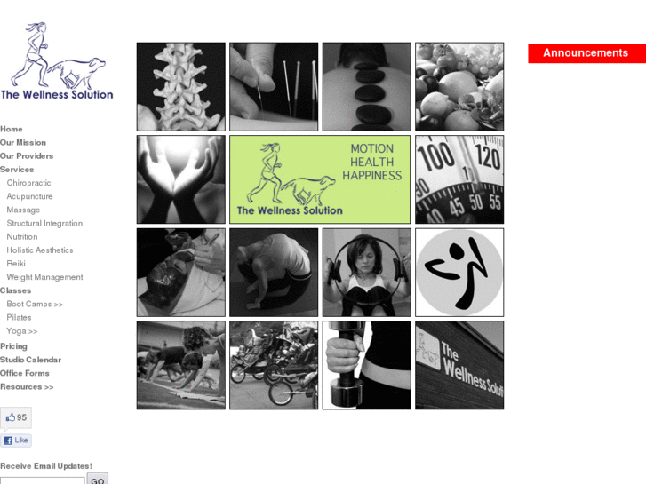 www.thewellnesssolution.net