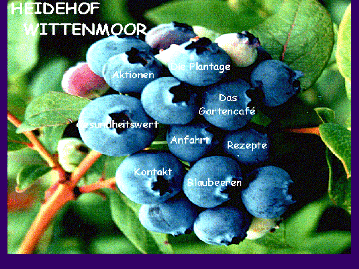 www.blaubeeren.org