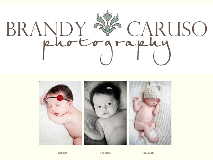 www.brandycarusophotography.com