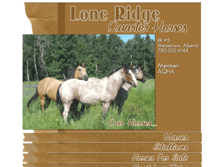 www.lrquarterhorses.com