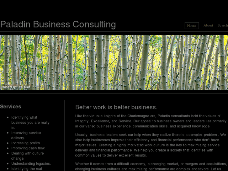 www.paladinbusinessconsulting.com