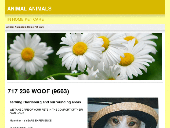www.animalanimals.com