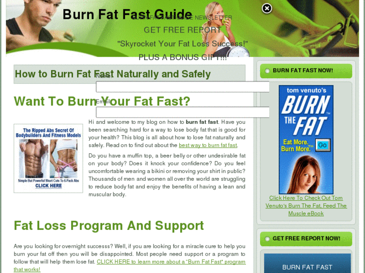 www.burnfatfastguide.com