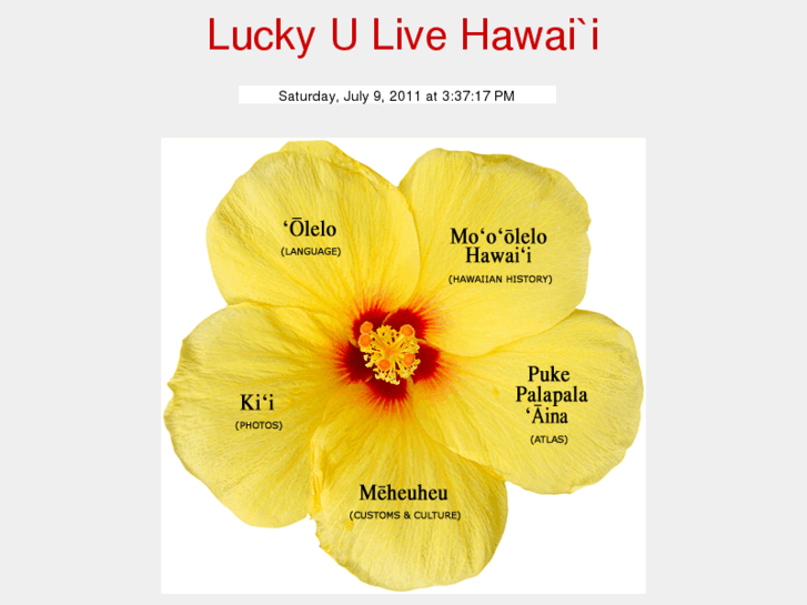 www.luckyulivehawaii.com