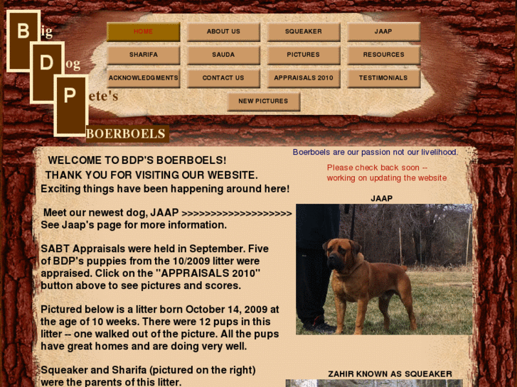 www.bdpsboerboels.com