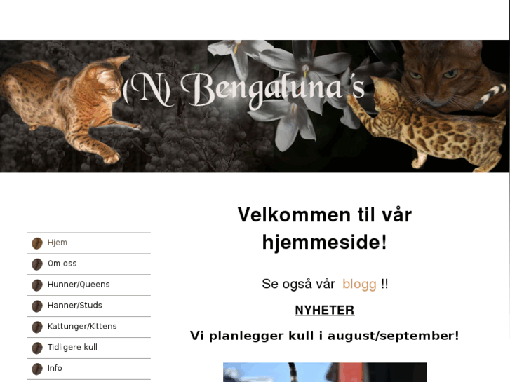 www.bengalunas.com