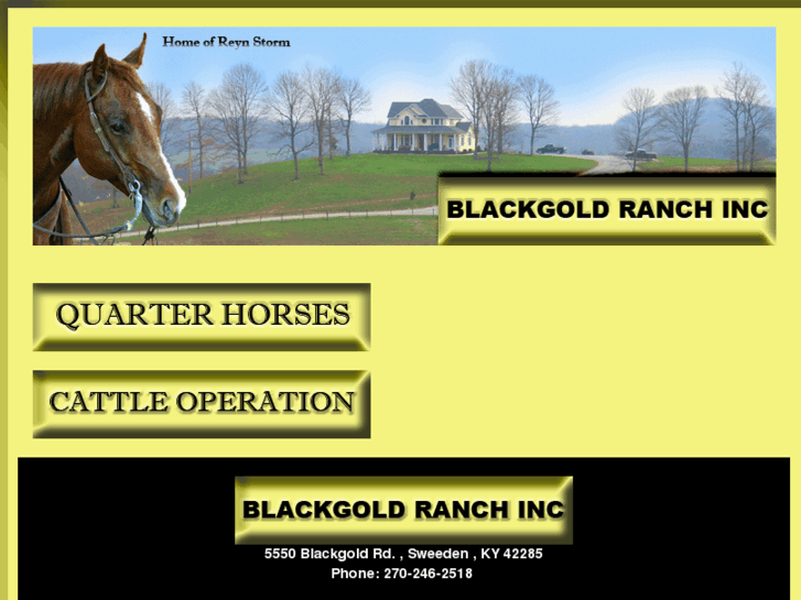 www.blackgoldranchinc.com