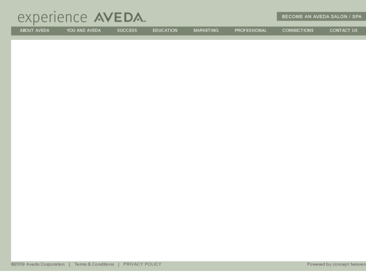 www.experienceaveda.com