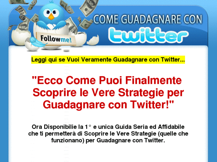 www.guadagnarecontwitter.com