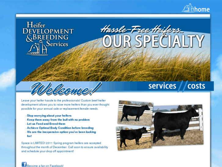 www.heiferdevelopment.com