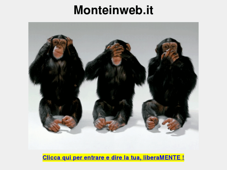 www.monteinweb.it