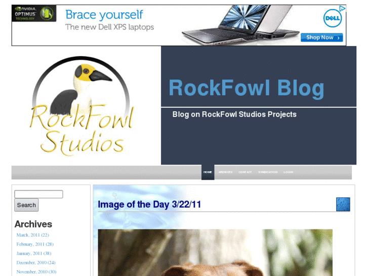 www.rockfowlstudios.com