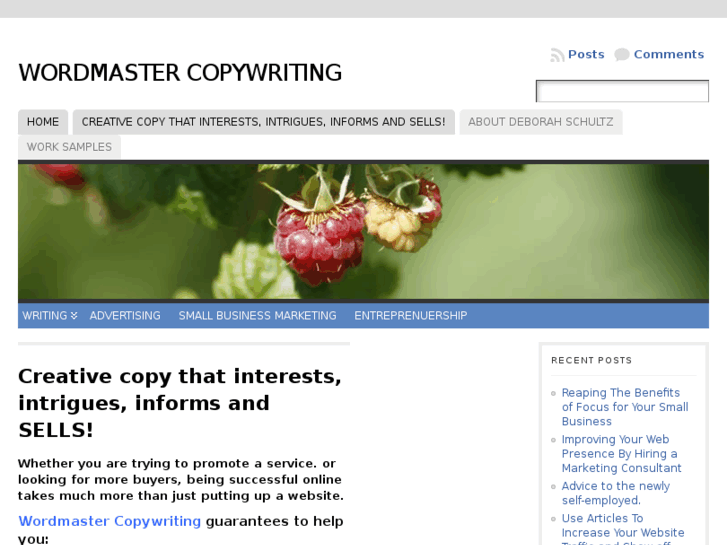 www.wordmastercopywriting.com