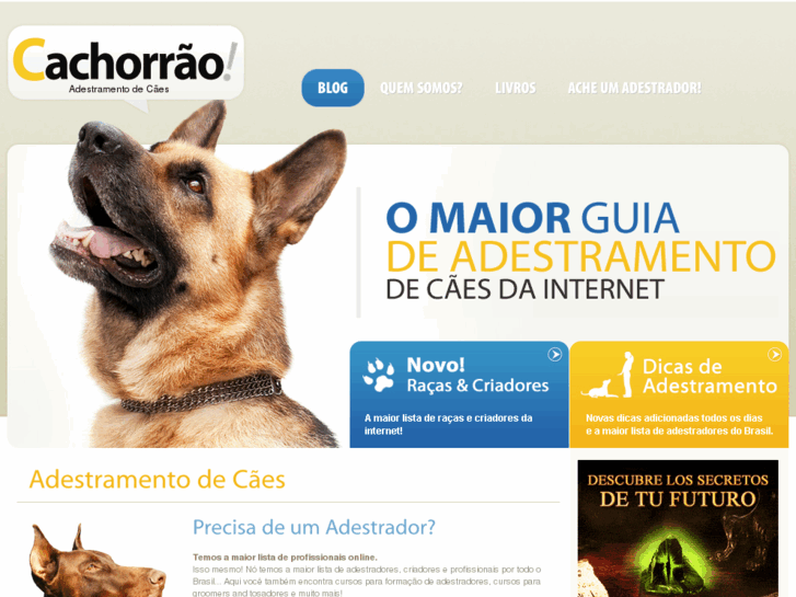 www.cachorrao.com