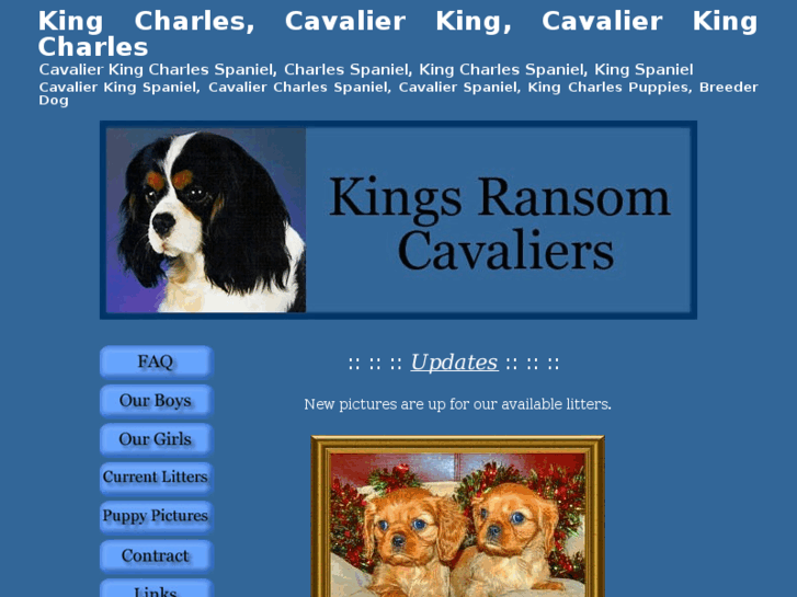 www.cavalierkingcharles-spaniels.com