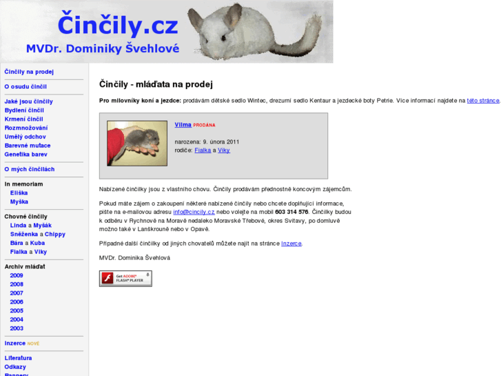 www.cincily.cz