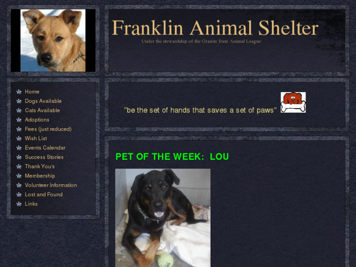 www.franklinanimalshelter.com