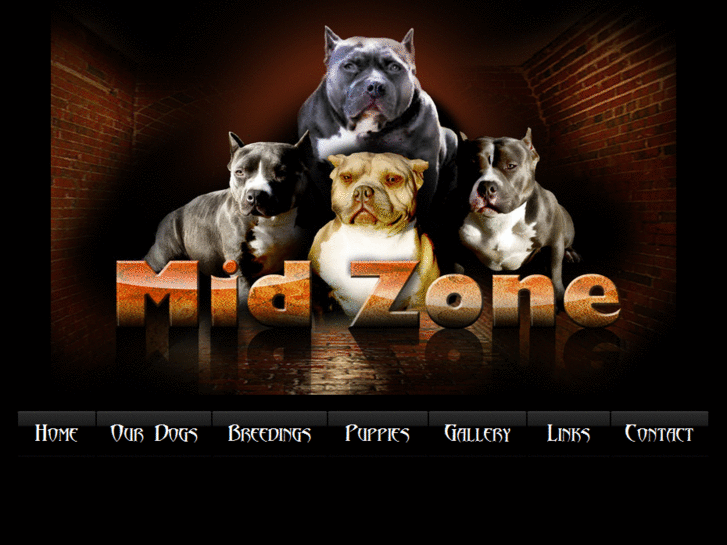 www.midzonekennel.com