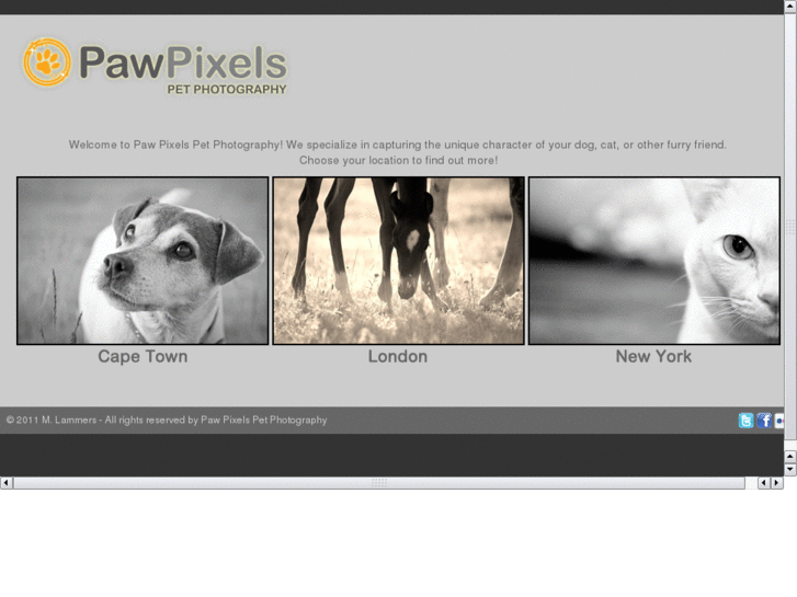 www.pawpixels.com