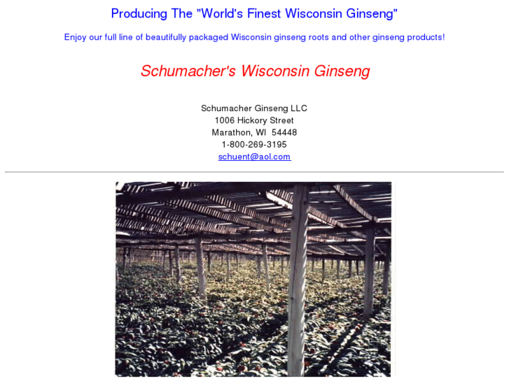 www.schumacherginseng.com