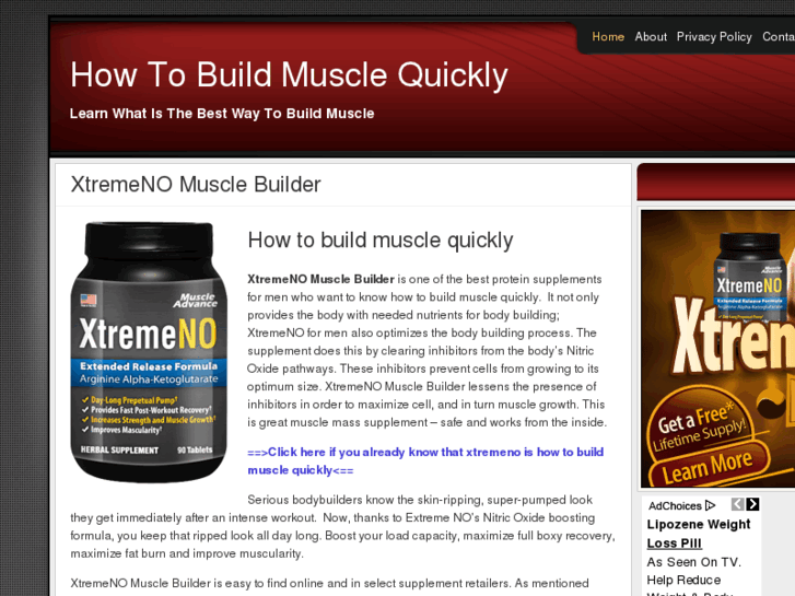 www.xtremenomusclebuilder.com