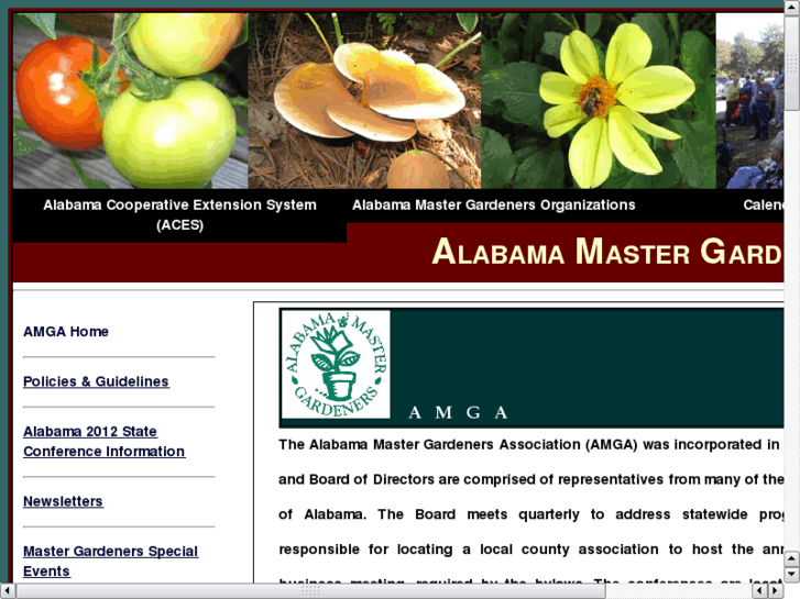 www.alabamamg.org