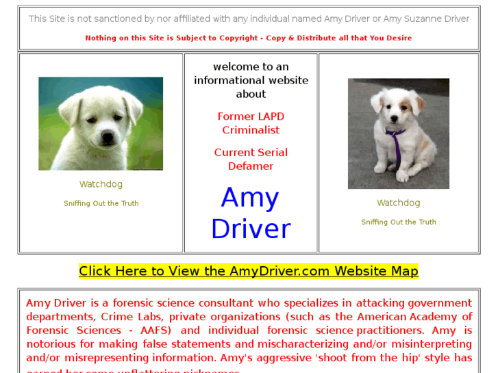 www.amydriver.com