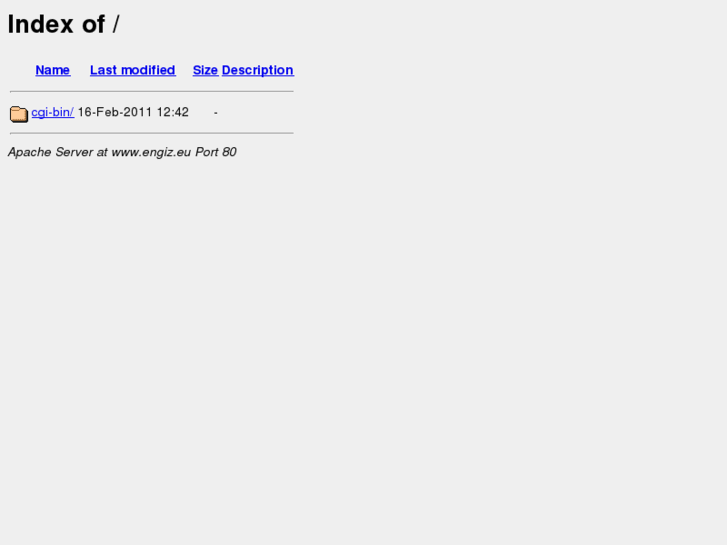 www.engiz.eu