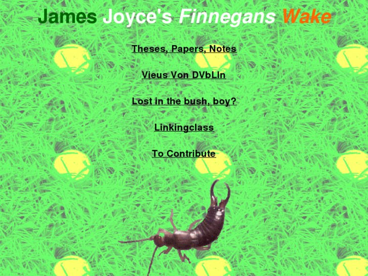 www.finneganswake.info