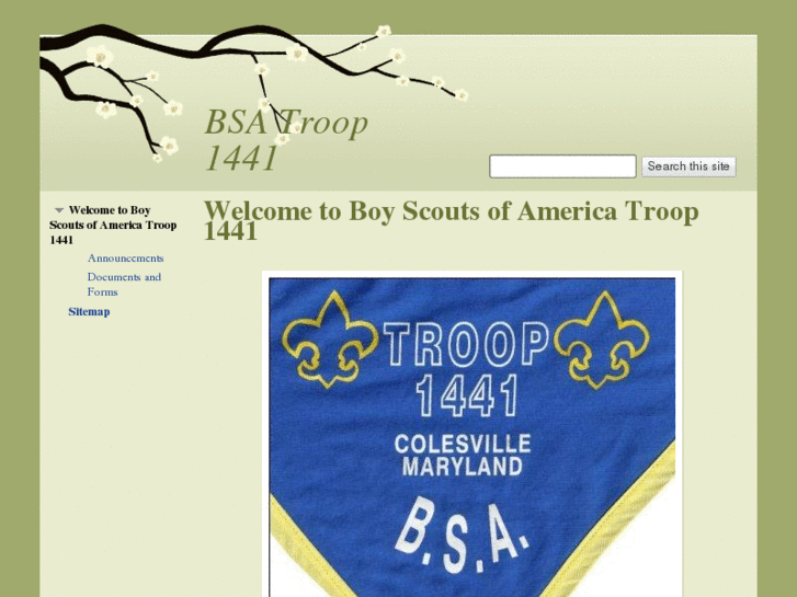 www.troop1441.com