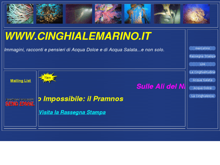 www.cinghialemarino.it
