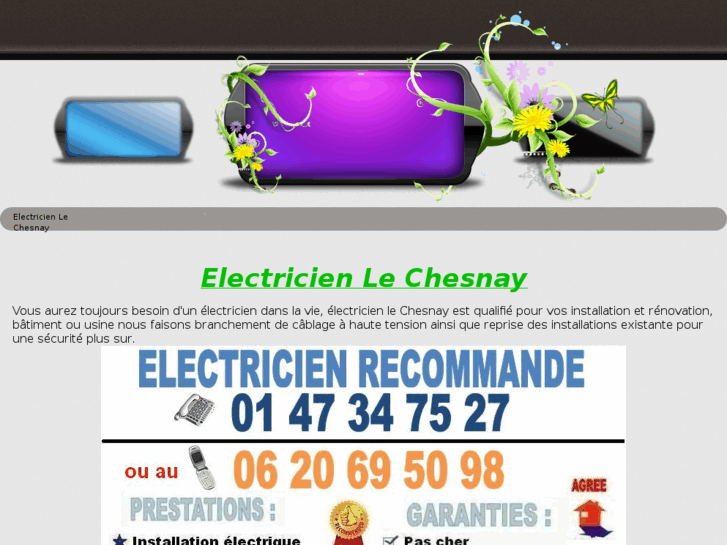 www.electricienlechesnay.net