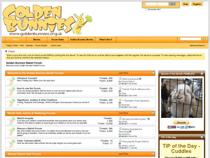 www.goldenbunnies.org.uk