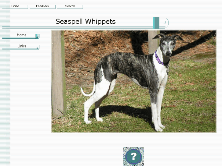 www.seaspellwhippets.com