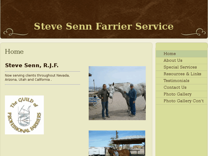 www.stevesenn.com