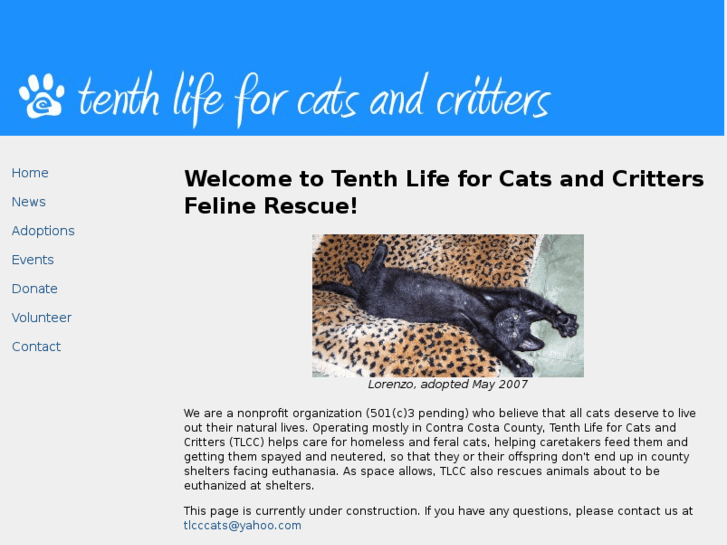 www.tenthlifeforcatsandcritters.org