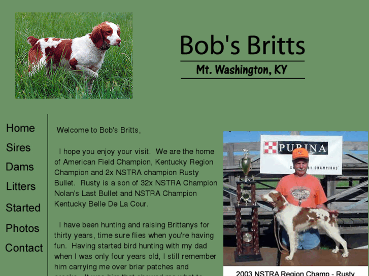 www.bobsbritts.com
